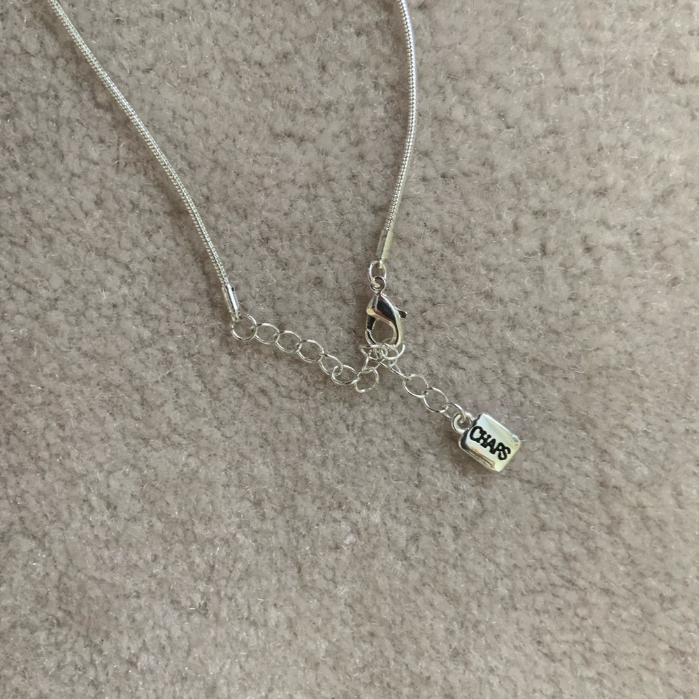 Charm Necklace - Picture 3 of 3